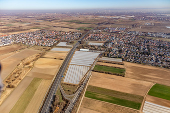 Vue aérienne de Sortie d'autoroute Dannstadt-Schauernheim de l'A65 à le quartier Dannstadt in Dannstadt-Schauernheim dans le département Rhénanie-Palatinat, Allemagne