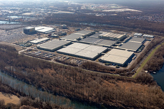 Vue aérienne de Île verte à Germersheim dans le département Rhénanie-Palatinat, Allemagne