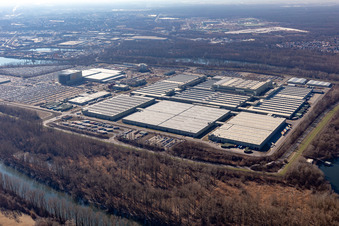 Vue aérienne de Île verte à Germersheim dans le département Rhénanie-Palatinat, Allemagne