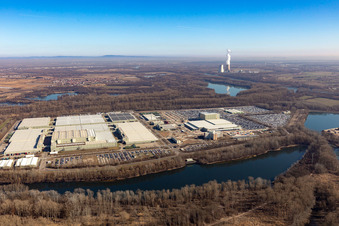 Photographie aérienne de Île verte à Germersheim dans le département Rhénanie-Palatinat, Allemagne