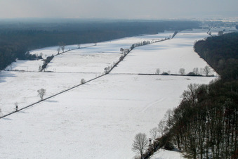 Vue aérienne de Otterbachtal dans le Bienwald en hiver avec de la neige à Freckenfeld dans le département Rhénanie-Palatinat, Allemagne