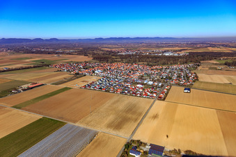 Vue oblique de Vue du sud-est à Steinweiler dans le département Rhénanie-Palatinat, Allemagne