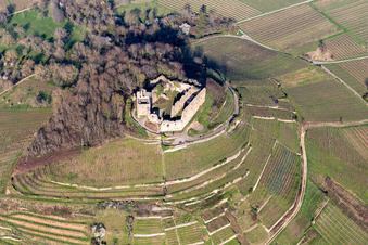 Vue aérienne de Couleurs automnales dans le vignoble du château de Staufen et structures des chemins de campagne dans les vignes pour le vin du siècle 2018 Vin de Bade à Staufen im Breisgau dans le département Bade-Wurtemberg, Allemagne