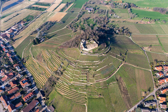 Vue aérienne de Ruines et vestiges des murs de l'ancien château de Staufen sur un vignoble conique à Staufen im Breisgau dans le département Bade-Wurtemberg, Allemagne
