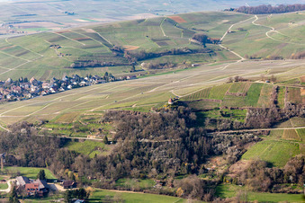 Vue aérienne de Chapelle du Mont des Oliviers à le quartier Ehrenstetten in Ehrenkirchen dans le département Bade-Wurtemberg, Allemagne