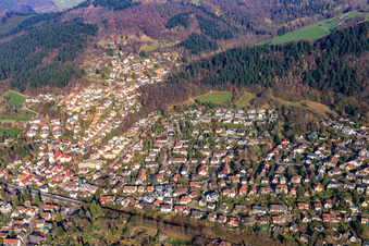 Vue aérienne de Reutebachstr à le quartier Zähringen in Freiburg im Breisgau dans le département Bade-Wurtemberg, Allemagne