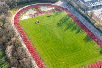 Vue aérienne de Terrain de sport du gymnase Erasmus à Denzlingen dans le département Bade-Wurtemberg, Allemagne