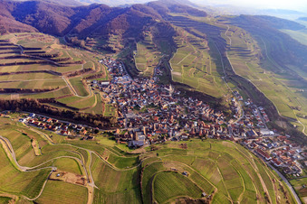 Vue aérienne de Vue du village viticole depuis le nord à le quartier Kiechlinsbergen in Endingen am Kaiserstuhl dans le département Bade-Wurtemberg, Allemagne