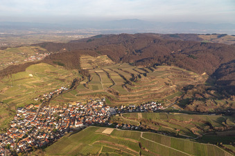 Vue aérienne de Kiechlinsbergen à Endingen am Kaiserstuhl dans le département Bade-Wurtemberg, Allemagne