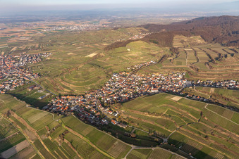 Vue aérienne de Kiechlinsbergen à Endingen am Kaiserstuhl dans le département Bade-Wurtemberg, Allemagne