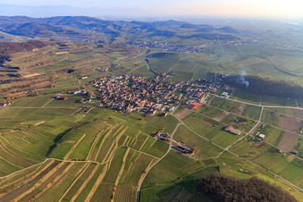Vue aérienne de Du nord à le quartier Bischoffingen in Vogtsburg im Kaiserstuhl dans le département Bade-Wurtemberg, Allemagne