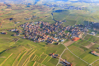 Vue aérienne de Du nord à le quartier Bischoffingen in Vogtsburg im Kaiserstuhl dans le département Bade-Wurtemberg, Allemagne