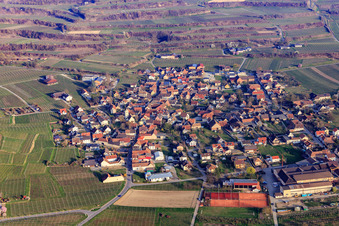 Vue aérienne de Du nord-est à le quartier Bischoffingen in Vogtsburg im Kaiserstuhl dans le département Bade-Wurtemberg, Allemagne