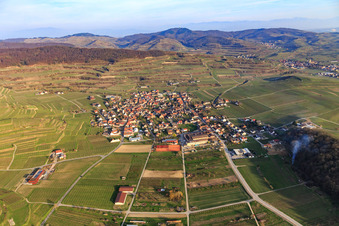 Vue aérienne de De l'ouest à le quartier Bischoffingen in Vogtsburg im Kaiserstuhl dans le département Bade-Wurtemberg, Allemagne