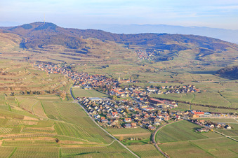 Vue aérienne de Village viticole sur le Kaiserstuhl, vu de l'ouest à le quartier Oberrotweil in Vogtsburg im Kaiserstuhl dans le département Bade-Wurtemberg, Allemagne