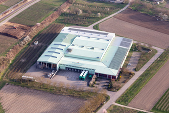 Vue aérienne de Locaux de l'entreprise du Erzeugergroßmarkt Südbaden, par exemple avec des halls, des bâtiments d'entreprise et des installations de production à le quartier Oberrotweil in Vogtsburg im Kaiserstuhl dans le département Bade-Wurtemberg, Allemagne