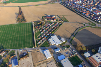 Vue aérienne de Jardins familiaux près de Batzenwirt à Breisach am Rhein dans le département Bade-Wurtemberg, Allemagne