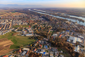 Vue aérienne de Burkheimer Landstr à Breisach am Rhein dans le département Bade-Wurtemberg, Allemagne