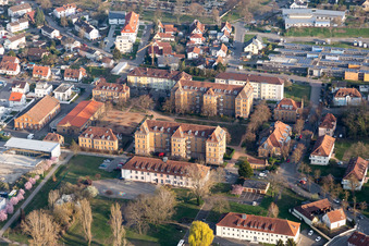 Vue aérienne de Vue des rues et des maisons le long de la Hafenstraße - Rheintorstraße à Breisach am Rhein dans le département Bade-Wurtemberg, Allemagne