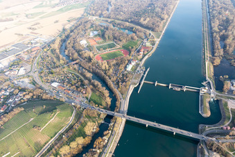 Vue aérienne de Stade de la Forêt, Piscine de la Forêt à Breisach am Rhein dans le département Bade-Wurtemberg, Allemagne
