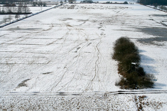 Vue aérienne de Pâturage de moutons à Otterbach il y a 2 ans à le quartier Schaidt in Wörth am Rhein dans le département Rhénanie-Palatinat, Allemagne