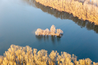 Vue aérienne de Île du Vieux Rhin à Leimersheim dans le département Rhénanie-Palatinat, Allemagne