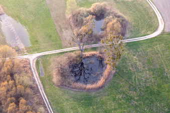 Vue aérienne de Biotope à Leimersheim dans le département Rhénanie-Palatinat, Allemagne