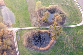 Vue aérienne de Étang dans un paysage de prairies rhénane à Leimersheim dans le département Rhénanie-Palatinat, Allemagne