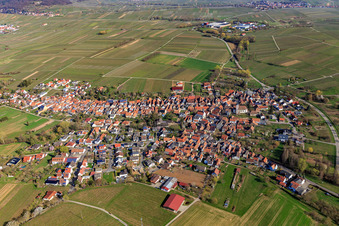 Vue aérienne de Vue d'ensemble du village depuis le sud à Göcklingen dans le département Rhénanie-Palatinat, Allemagne