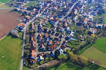 Vue aérienne de Ritter-Honius-Straße à Rohrbach dans le département Rhénanie-Palatinat, Allemagne