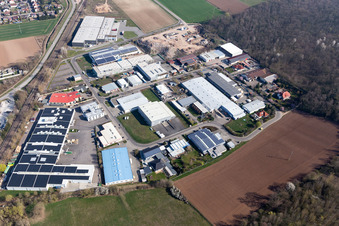 Vue oblique de Entrepôts et bâtiments d'expédition de la société Eichenlaub Logistik GmbH à Rohrbach dans le département Rhénanie-Palatinat, Allemagne