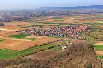 Vue aérienne de De l'est à Steinweiler dans le département Rhénanie-Palatinat, Allemagne