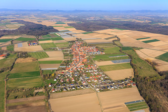 Vue aérienne de Vue d'ensemble de la ville depuis l'est à Erlenbach bei Kandel dans le département Rhénanie-Palatinat, Allemagne