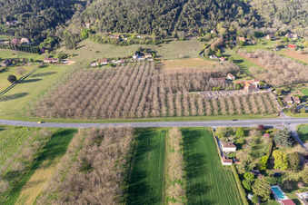 Vue aérienne de Plantations de noyers à Saint-Vincent-de-Cosse dans le département Dordogne, France