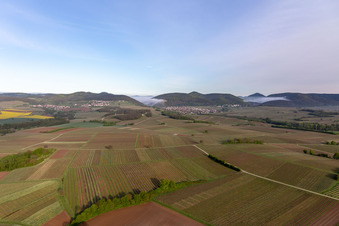Vue aérienne de Le château de Landeck dans la brume matinale à Klingenmünster dans le département Rhénanie-Palatinat, Allemagne
