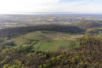 Photographie aérienne de Haardtrand-Wolfsteig à Pleisweiler-Oberhofen dans le département Rhénanie-Palatinat, Allemagne