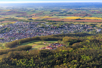 Vue aérienne de Monastère de Liebfrauenberg vu du nord-ouest à Bad Bergzabern dans le département Rhénanie-Palatinat, Allemagne