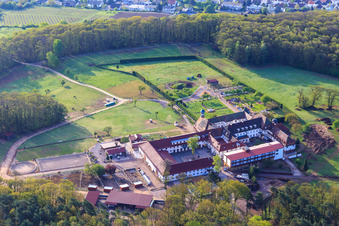 Photographie aérienne de Monastère de Liebfrauenberg vu du nord-ouest à Bad Bergzabern dans le département Rhénanie-Palatinat, Allemagne