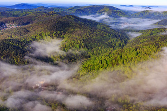 Vue aérienne de Brume matinale sur l'Erlenbach à Bad Bergzabern dans le département Rhénanie-Palatinat, Allemagne