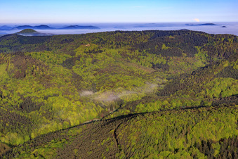 Vue aérienne de Ruines du château de Guttenberg à Oberotterbach dans le département Rhénanie-Palatinat, Allemagne