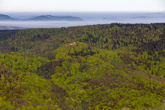 Vue aérienne de Ruines du château de Guttenberg à Oberotterbach dans le département Rhénanie-Palatinat, Allemagne