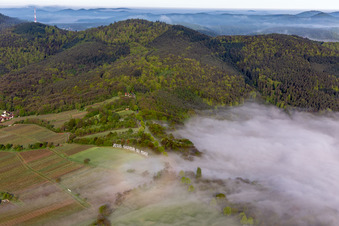 Vue aérienne de Message de salut « Jésus Sauveur du Monde » sur le Hannesacker à la lisière de la forêt de Vorgesen près de Wissembourg à Rott dans le département Bas Rhin, France