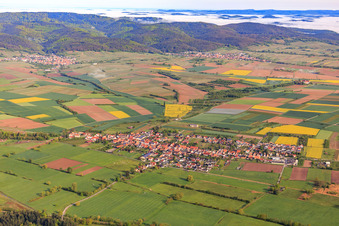 Vue aérienne de Du sud à Schweighofen dans le département Rhénanie-Palatinat, Allemagne