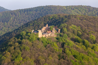 Vue aérienne de Madenburg à Eschbach dans le département Rhénanie-Palatinat, Allemagne