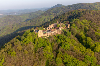Vue aérienne de Ruines et vestiges des murs de l'ancien complexe du château, ruines du château de Madenburg à Eschbach dans le département Rhénanie-Palatinat, Allemagne