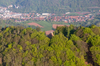 Vue aérienne de Tour Hohenberg à Birkweiler dans le département Rhénanie-Palatinat, Allemagne