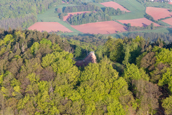 Vue aérienne de Tour Hohenberg à Birkweiler dans le département Rhénanie-Palatinat, Allemagne