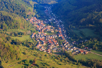 Vue aérienne de Du sud à Eußerthal dans le département Rhénanie-Palatinat, Allemagne