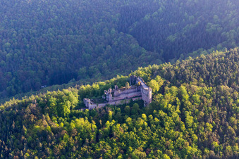 Ruines du château de Neuscharfeneck à Flemlingen dans le département Rhénanie-Palatinat, Allemagne depuis l'avion