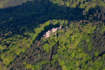 Vue aérienne de Ruines et vestiges de l'ancien château de Meistersel à Ramberg dans le département Rhénanie-Palatinat, Allemagne